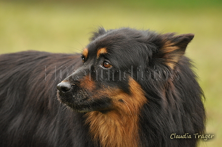 AAH Bundeshüten 2017 / Bild 230 von 352 / 10.09.2017 10:34 / DSC_4035.JPG