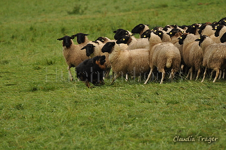 AAH Bundeshüten 2017 / Bild 238 von 352 / 10.09.2017 10:47 / DSC_4127.JPG