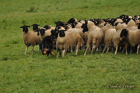 AAH Bundeshüten 2017 / Bild 239 von 352 / 10.09.2017 10:47 / DSC_4128.JPG