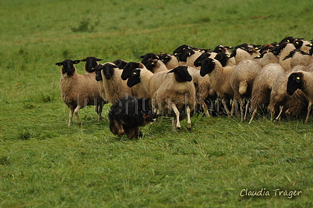 AAH Bundeshüten 2017 / Bild 240 von 352 / 10.09.2017 10:47 / DSC_4129.JPG