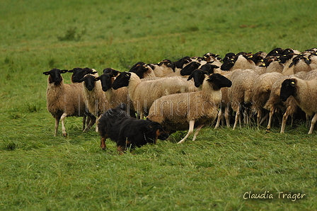 AAH Bundeshüten 2017 / Bild 241 von 352 / 10.09.2017 10:47 / DSC_4130.JPG