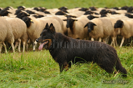 AAH Bundeshüten 2017 / Bild 244 von 352 / 10.09.2017 11:06 / DSC_4266.JPG