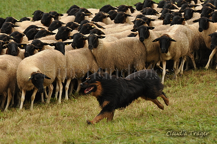 AAH Bundeshüten 2017 / Bild 252 von 352 / 10.09.2017 11:21 / DSC_4420.JPG