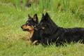 AAH Bundeshüten 2017 / Bild 255 von 352 / 10.09.2017 11:40 / DSC_4538.JPG