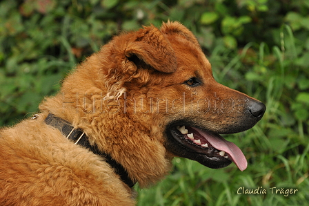 AAH Bundeshüten 2017 / Bild 265 von 352 / 10.09.2017 11:54 / DSC_4692.JPG