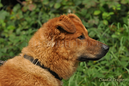 AAH Bundeshüten 2017 / Bild 266 von 352 / 10.09.2017 11:54 / DSC_4701.JPG