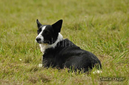 AAH Bundeshüten 2017 / Bild 276 von 352 / 10.09.2017 13:23 / DSC_4785.JPG