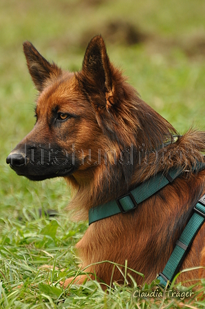 AAH Bundeshüten 2017 / Bild 278 von 352 / 10.09.2017 13:27 / DSC_4788.JPG