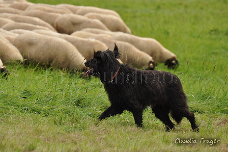 AAH Bundeshüten 2017 / Bild 287 von 352 / 10.09.2017 13:50 / DSC_4963.JPG