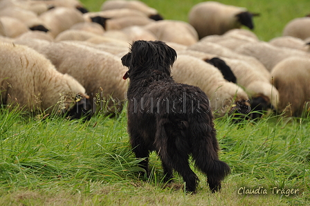 AAH Bundeshüten 2017 / Bild 290 von 352 / 10.09.2017 13:50 / DSC_4974.JPG