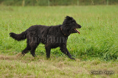 AAH Bundeshüten 2017 / Bild 291 von 352 / 10.09.2017 13:51 / DSC_4993.JPG