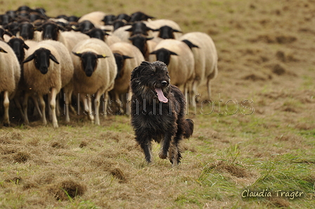 AAH Bundeshüten 2017 / Bild 294 von 352 / 10.09.2017 14:06 / DSC_5158.JPG