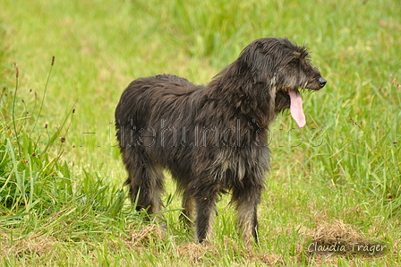 AAH Bundeshüten 2017 / Bild 298 von 352 / 10.09.2017 14:10 / DSC_5191.JPG