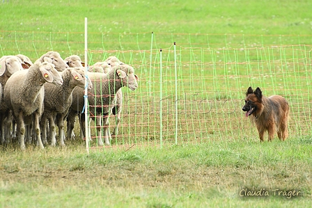 AAH Bundesh&uuml;ten 2026 / Bild 194 von 214 / 13.09.2026 14:06 / DSC_2137.JPG