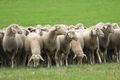 Vorschau von Bild 200 von 214