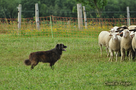 AAH Freundschaftshüten / Bild 62 von 124 / 23.07.2017 11:43 / DSC_3965.JPG