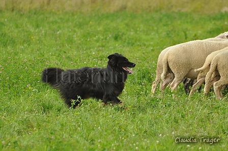 AAH Freundschaftshüten / Bild 80 von 124 / 23.07.2017 13:29 / DSC_4631.JPG