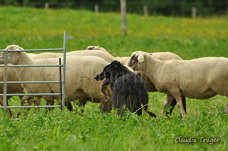 AAH Freundschaftshüten / Bild 83 von 124 / 23.07.2017 13:34 / DSC_4687.JPG