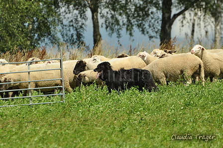 AAH Freundschaftshüten / Bild 85 von 124 / 23.07.2017 13:41 / DSC_4767.JPG