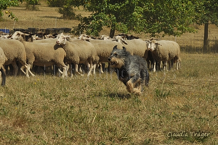 AAH Freundschaftshüten / Bild 82 von 151 / 29.07.2018 13:03 / DSC_8475.JPG