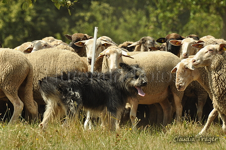 AAH Freundschaftshüten / Bild 87 von 151 / 29.07.2018 13:14 / DSC_8851.JPG