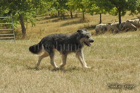 AAH Freundschaftshüten / Bild 95 von 151 / 29.07.2018 13:18 / DSC_8986.JPG