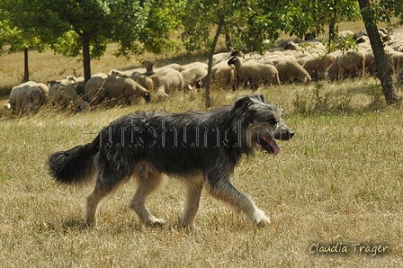 AAH Freundschaftshüten / Bild 96 von 151 / 29.07.2018 13:18 / DSC_8989.JPG