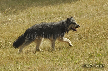 AAH Freundschaftshüten / Bild 98 von 151 / 29.07.2018 13:22 / DSC_9074.JPG