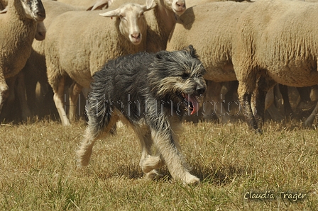 AAH Freundschaftshüten / Bild 100 von 151 / 29.07.2018 13:24 / DSC_9133.JPG