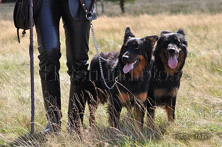 AAH Niedersachsen Landeshüten 2014 / Bild 62 von 83 / 24.08.2014 14:48 / DSC_7810.JPG