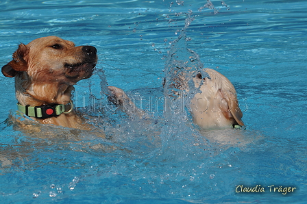 Hundeschwimmen / Bild 18 von 187 / 10.09.2016 11:39 / DSC_8587.JPG