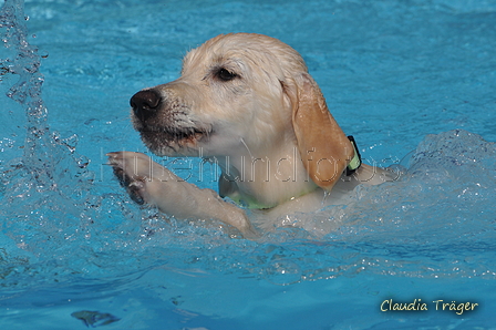 Hundeschwimmen / Bild 19 von 187 / 10.09.2016 11:40 / DSC_8593.JPG