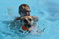 Hundeschwimmen / Bild 38 von 187 / 10.09.2016 11:52 / DSC_8857.JPG
