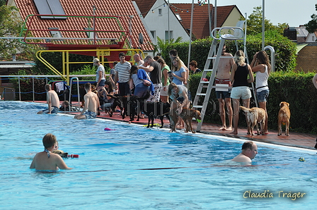 Hundeschwimmen / Bild 117 von 187 / 11.09.2016 12:34 / DSC_9673.JPG