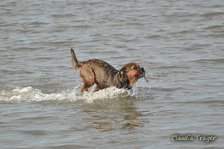 Hundestrand / Bild 61 von 376 / 19.09.2016 16:29 / DSC_8807.JPG