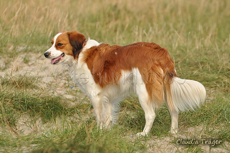 Hundestrand / Bild 79 von 376 / 19.09.2016 16:38 / DSC_8943.JPG