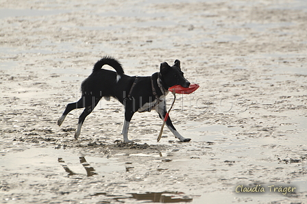 Hundestrand / Bild 84 von 376 / 19.09.2016 16:41 / DSC_8986.JPG