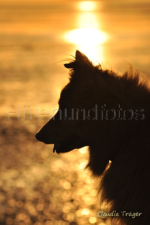 Hundestrand / Bild 90 von 376 / 19.09.2016 19:08 / DSC_9215.JPG