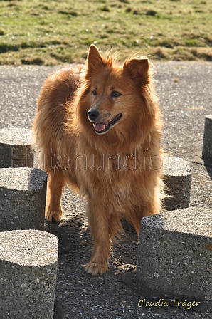 Hundestrand / Bild 93 von 376 / 20.09.2016 11:57 / DSC_9363.JPG