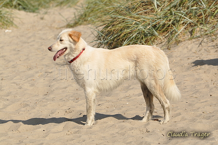 Hundestrand / Bild 96 von 376 / 20.09.2016 12:02 / DSC_9376.JPG