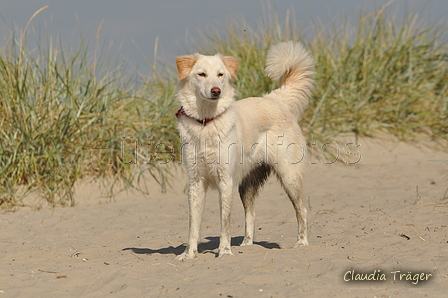 Hundestrand / Bild 100 von 376 / 20.09.2016 12:03 / DSC_9394.JPG