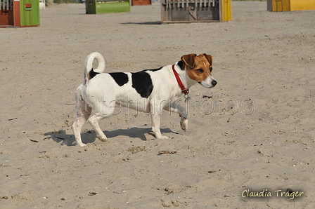 Hundestrand / Bild 107 von 376 / 20.09.2016 12:14 / DSC_9481.JPG