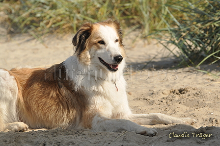 Hundestrand / Bild 108 von 376 / 20.09.2016 12:14 / DSC_9492.JPG