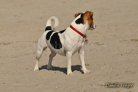 Hundestrand / Bild 124 von 376 / 20.09.2016 12:26 / DSC_9583.JPG