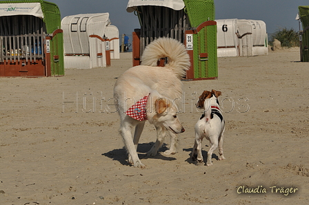 Hundestrand / Bild 130 von 376 / 20.09.2016 12:26 / DSC_9594.JPG