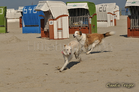 Hundestrand / Bild 131 von 376 / 20.09.2016 12:28 / DSC_9600.JPG