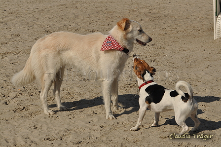 Hundestrand / Bild 132 von 376 / 20.09.2016 12:28 / DSC_9604.JPG