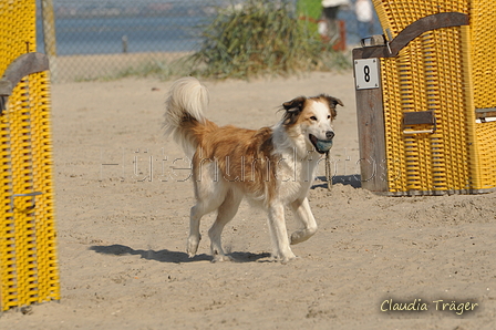 Hundestrand / Bild 133 von 376 / 20.09.2016 12:29 / DSC_9611.JPG