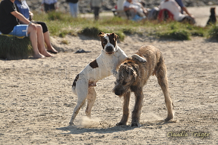 Hundestrand / Bild 143 von 376 / 20.09.2016 12:35 / DSC_9674.JPG