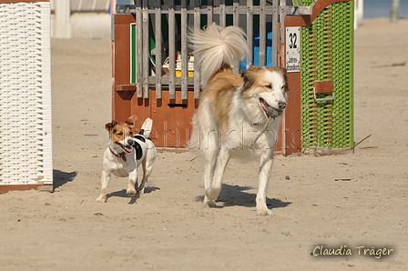 Hundestrand / Bild 145 von 376 / 20.09.2016 12:35 / DSC_9679.JPG